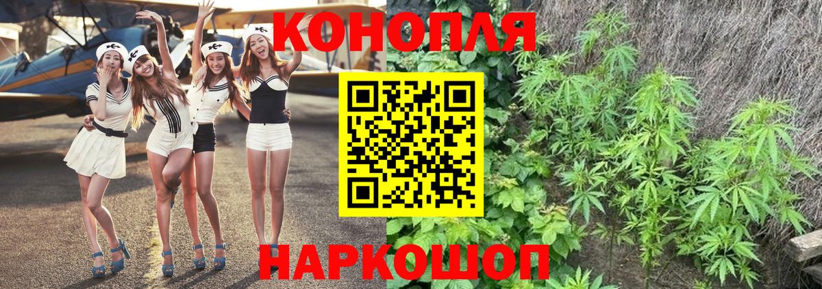 Марихуана Bruce Banner  Бошки Шишки ГИДРОПОН  Боровичи  Вход с VPN  Шишки марихуана планчик 